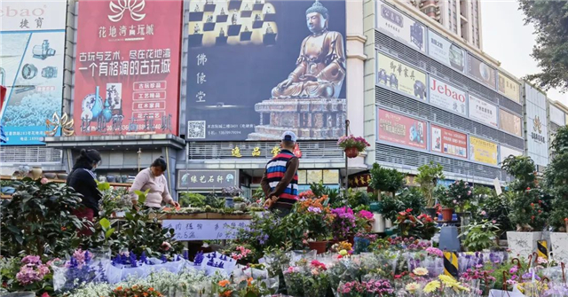 过年买年花，新年有钱花，虎年年花怎么选？