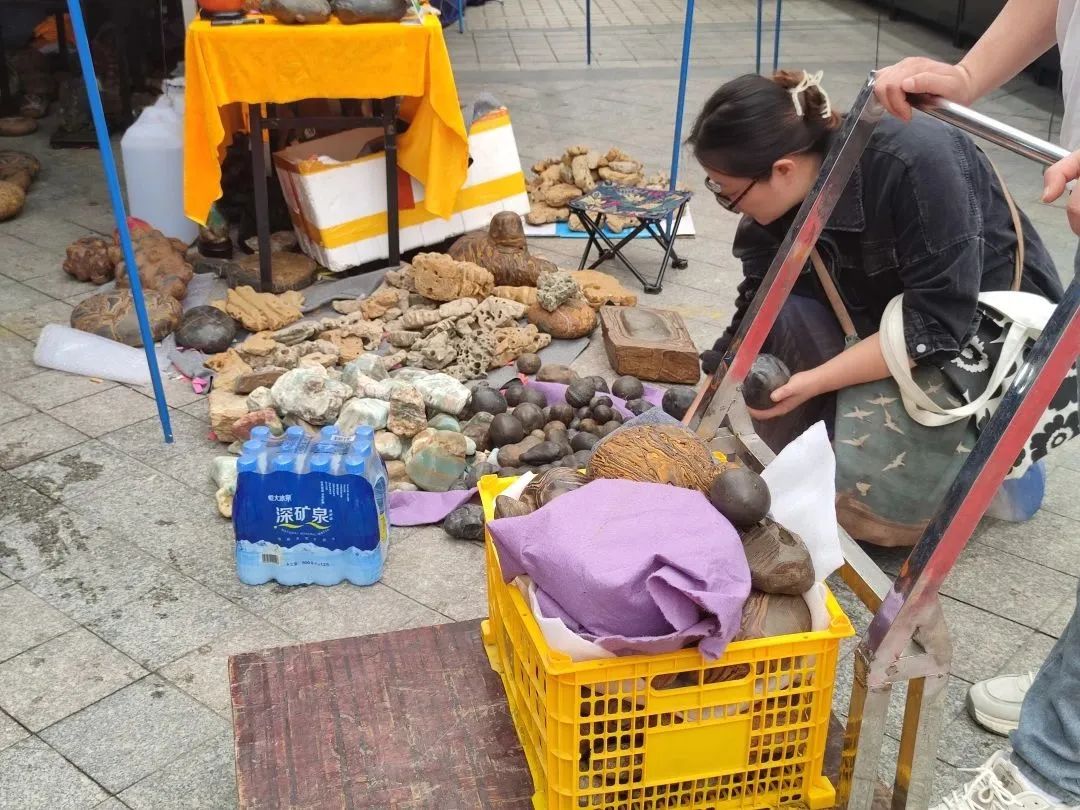 广州花地湾2023第三届观赏石博览会圆满落幕！