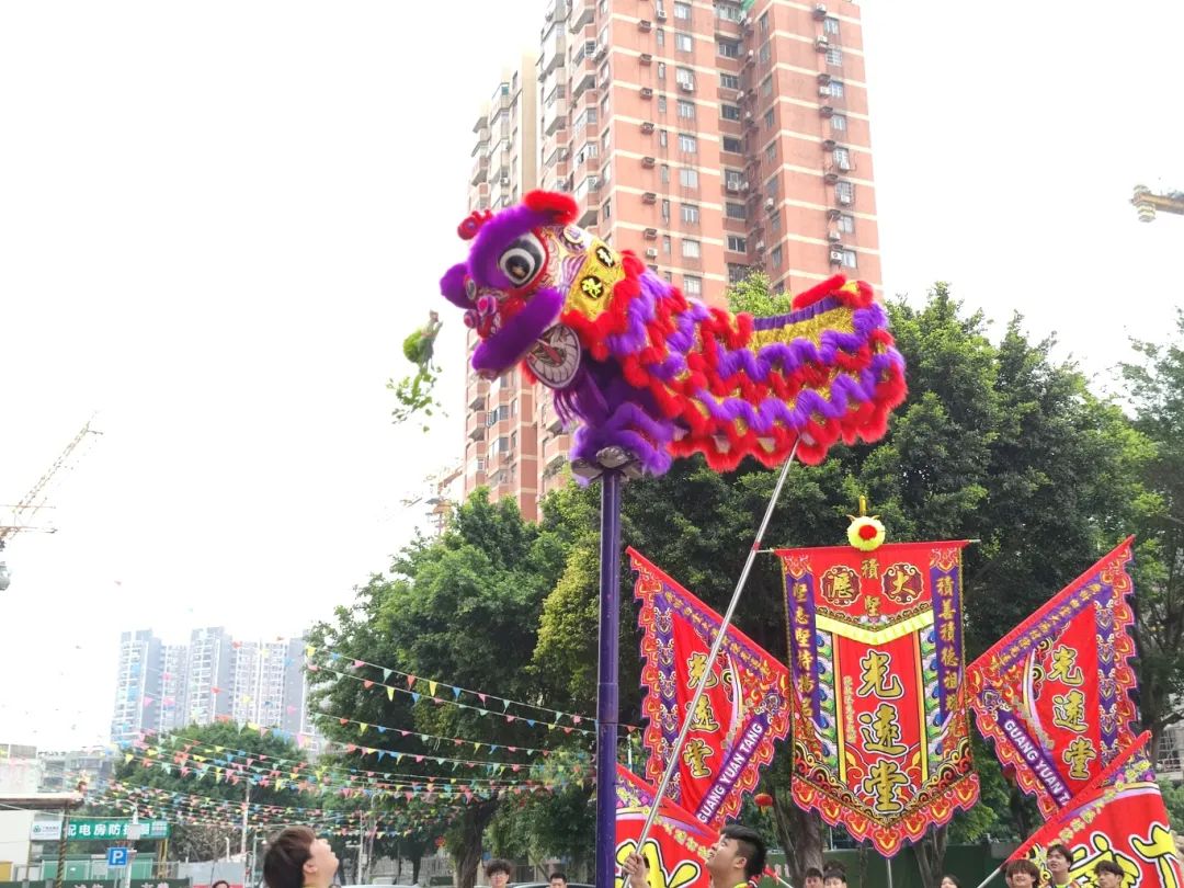 花地湾古玩城醒狮旺场，财到、福到~