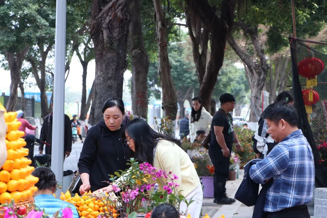 花地湾古玩城迎春花市
