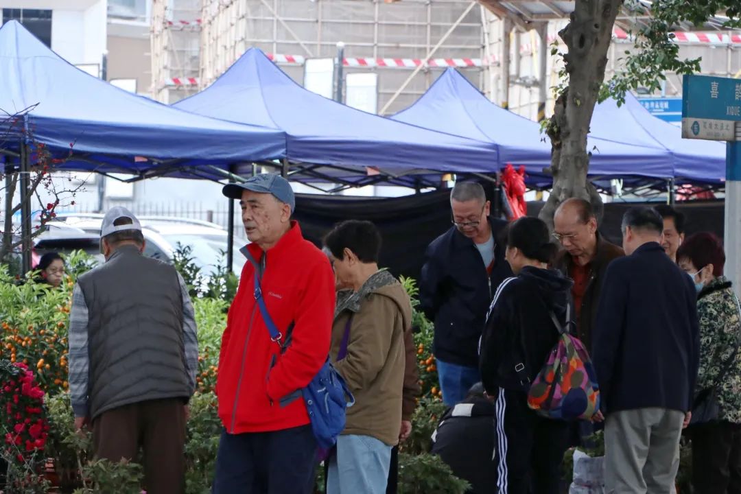 花地湾古玩城迎春花市